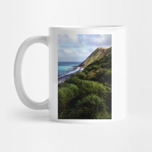 Coastal View, Maquarie Island Mug